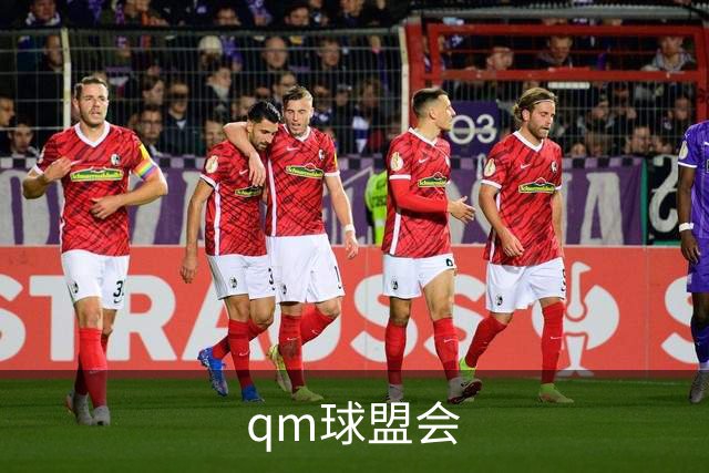 qm球盟会公司简介配图